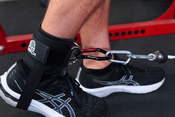 Clench Carabiners Clench Fitness Bundle Qty: 2-Pack Size: Standard