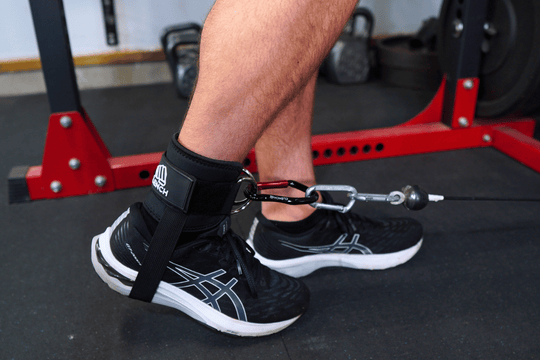 Ankle Straps for Cable Machine and Resistance Bands | Clench Fitness